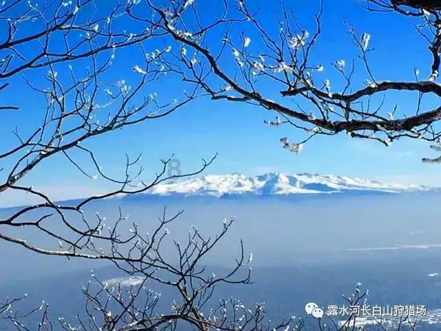 樟树时代广场有卖派克钢笔吗？游戏画面