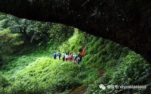 狂野的飙客无敌版